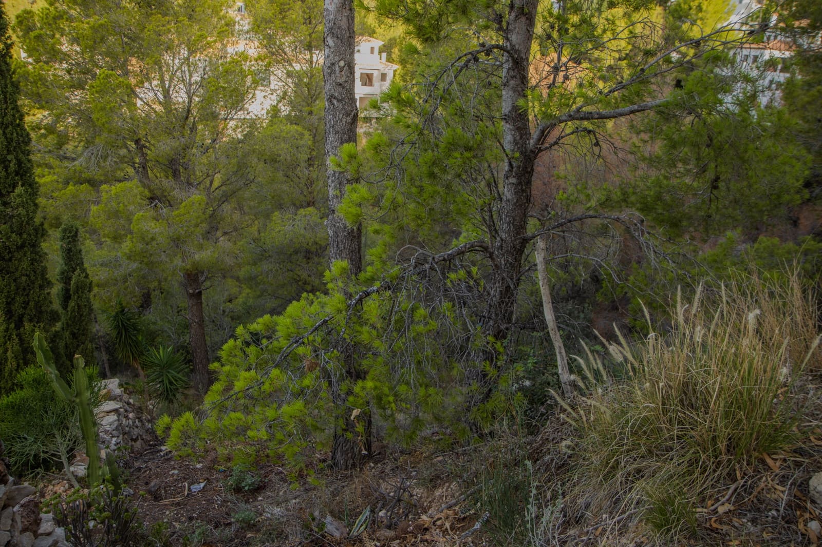 Grunde uden byggetilladelser til salg i Altea - € 175.000 (Ref: 8531575)