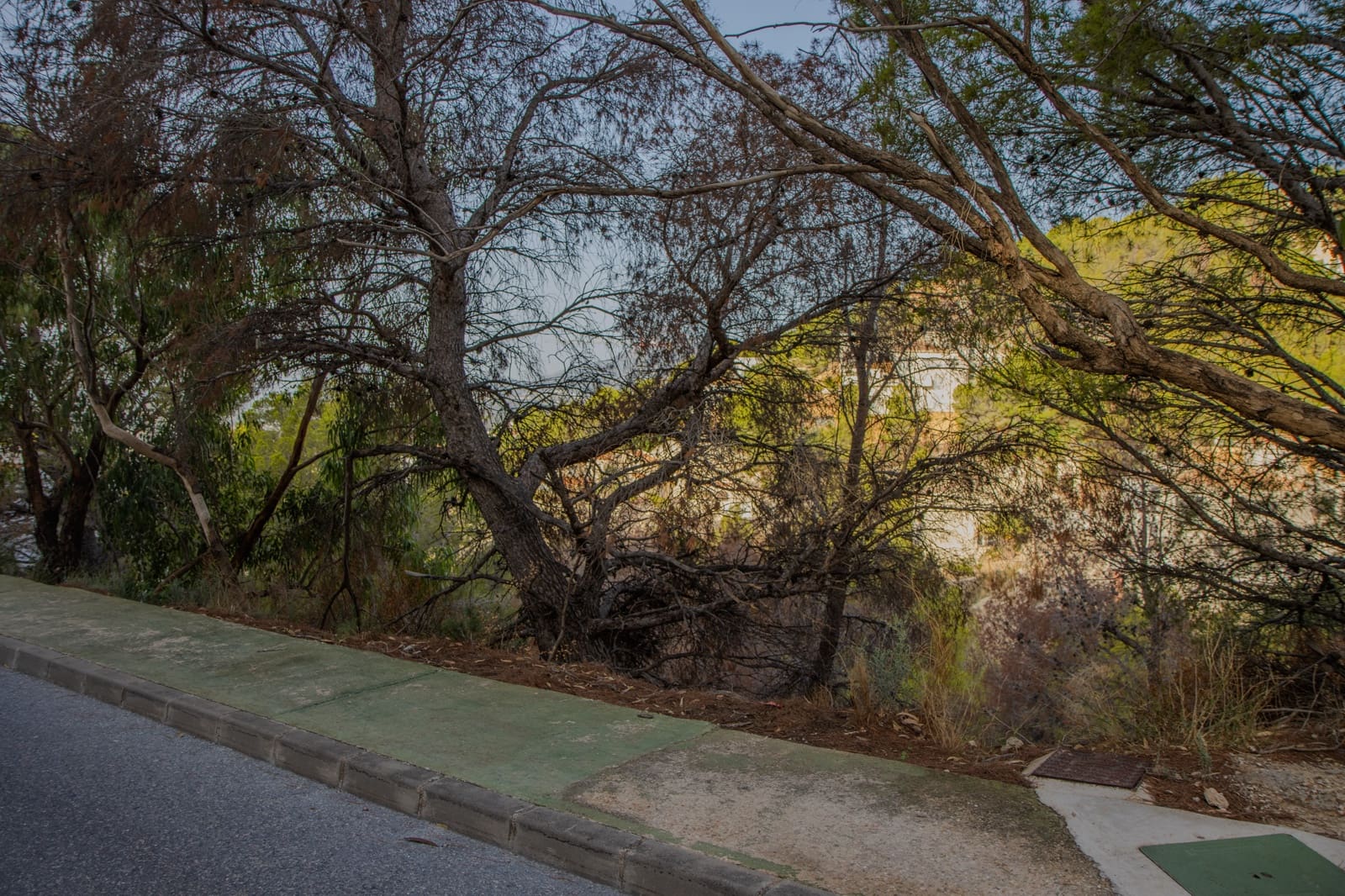 Grunde uden byggetilladelser til salg i Altea - € 175.000 (Ref: 8531575)