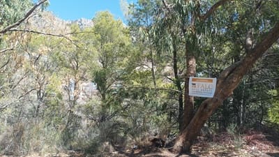 Terreno/Finca Rústica en Altea en venta - 299.000 € (Ref: 8533277)