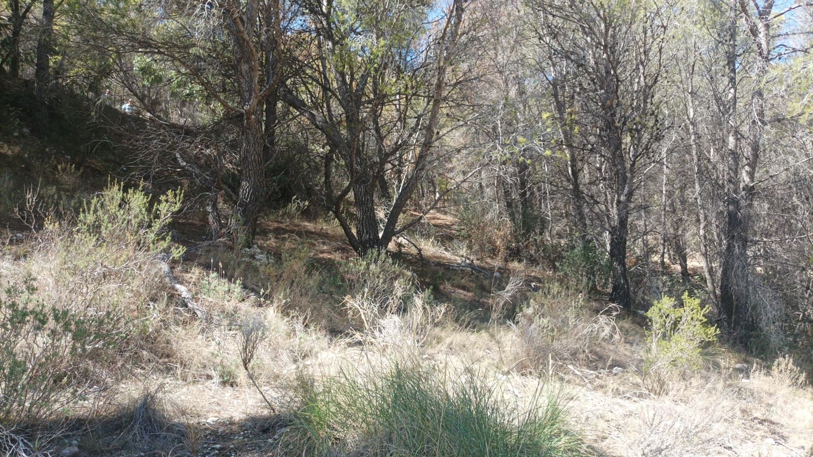 Terreno Non Edificato in vendita in Altea - 299.000 € (Rif: 8533277)