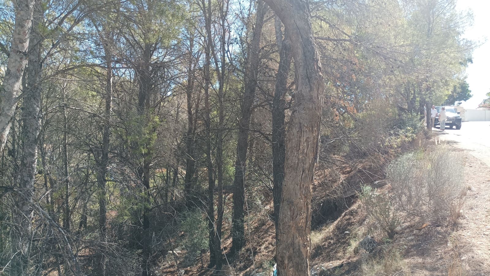 Terreno Non Edificato in vendita in Altea - 299.000 € (Rif: 8533277)