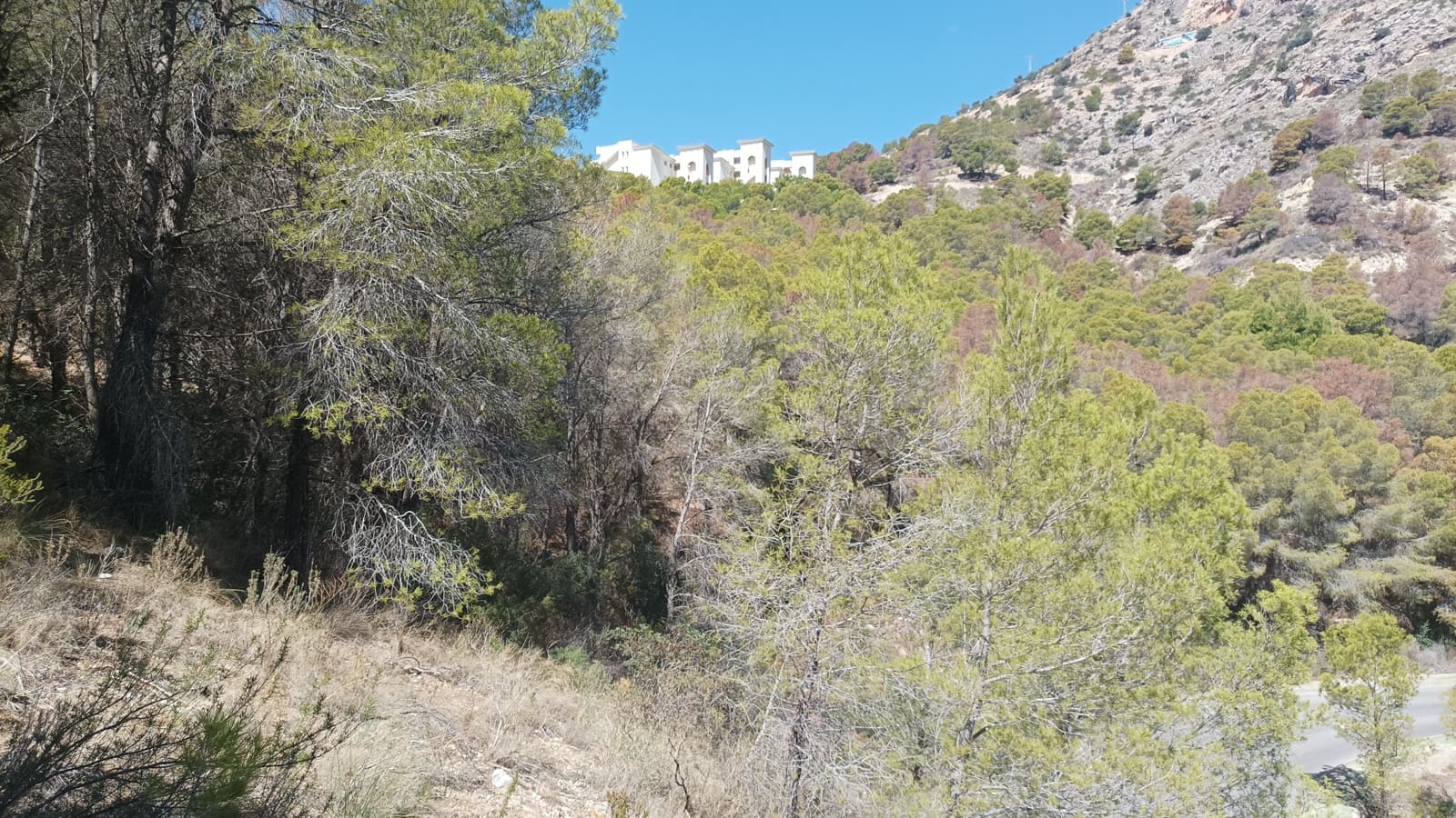 Terreno Non Edificato in vendita in Altea - 299.000 € (Rif: 8533277)