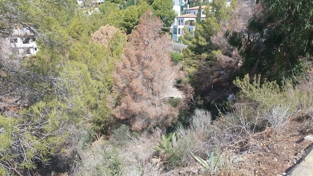 Terreno/Finca Rústica en Altea en venta - 299.000 € (Ref: 8533277)