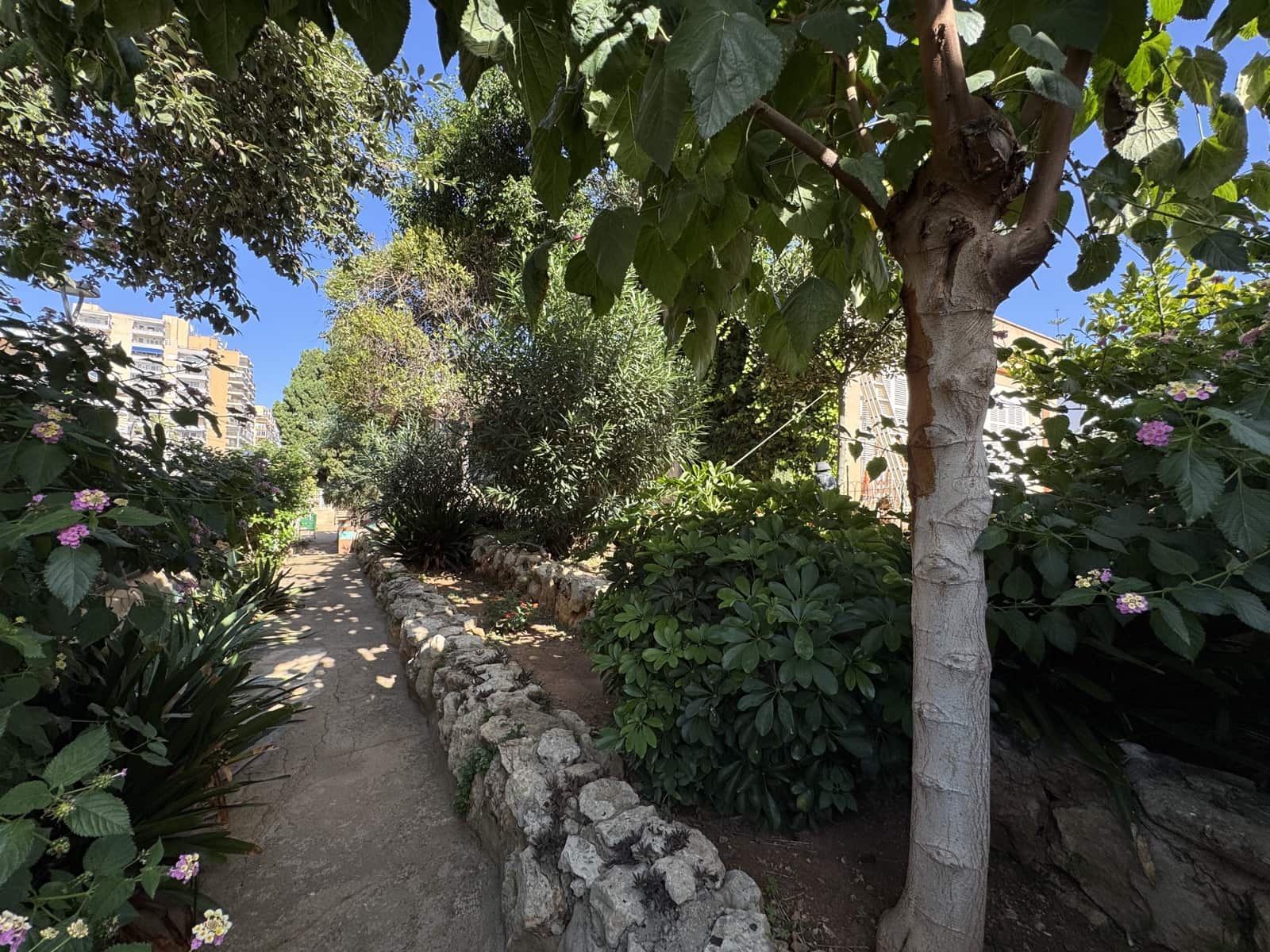 5 soverom Villa til salgs i Palma de Mallorca med svømmebasseng garasje - € 985 000 (Ref: 8583861)