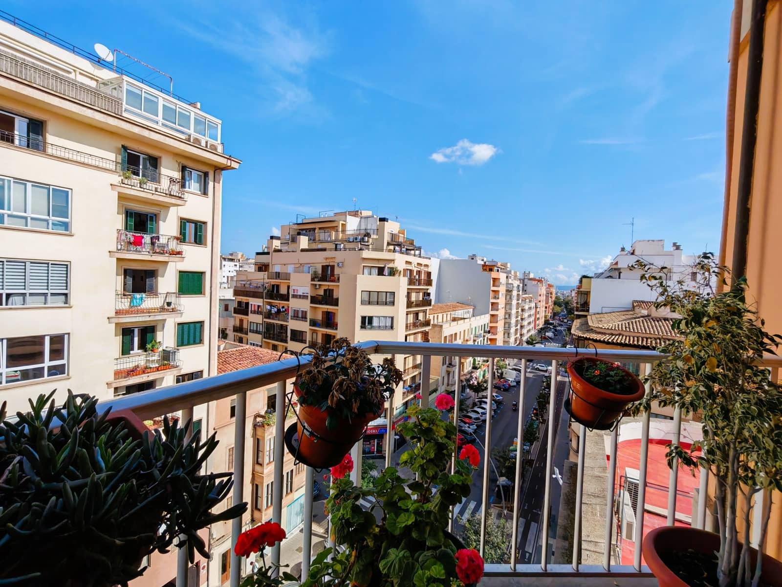 3 slaapkamer Appartement te koop in Palma de Mallorca - € 547.000 (Ref: 8635021)