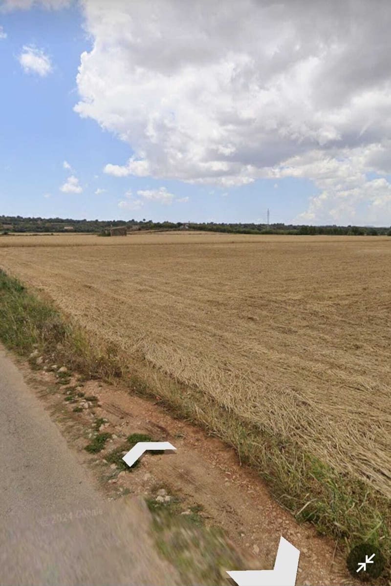 Ubebygd land til salgs i Manacor - € 200 000 (Ref: 8655401)
