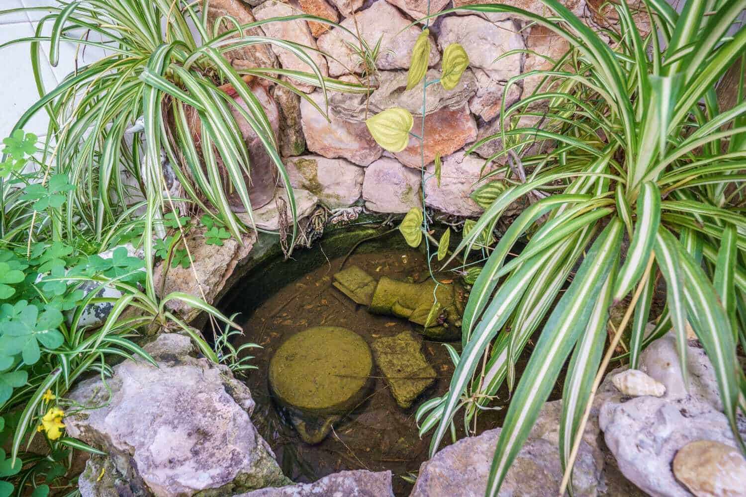 4 quarto Moradia para venda em Arta - 549 000 € (Ref: 8698556)