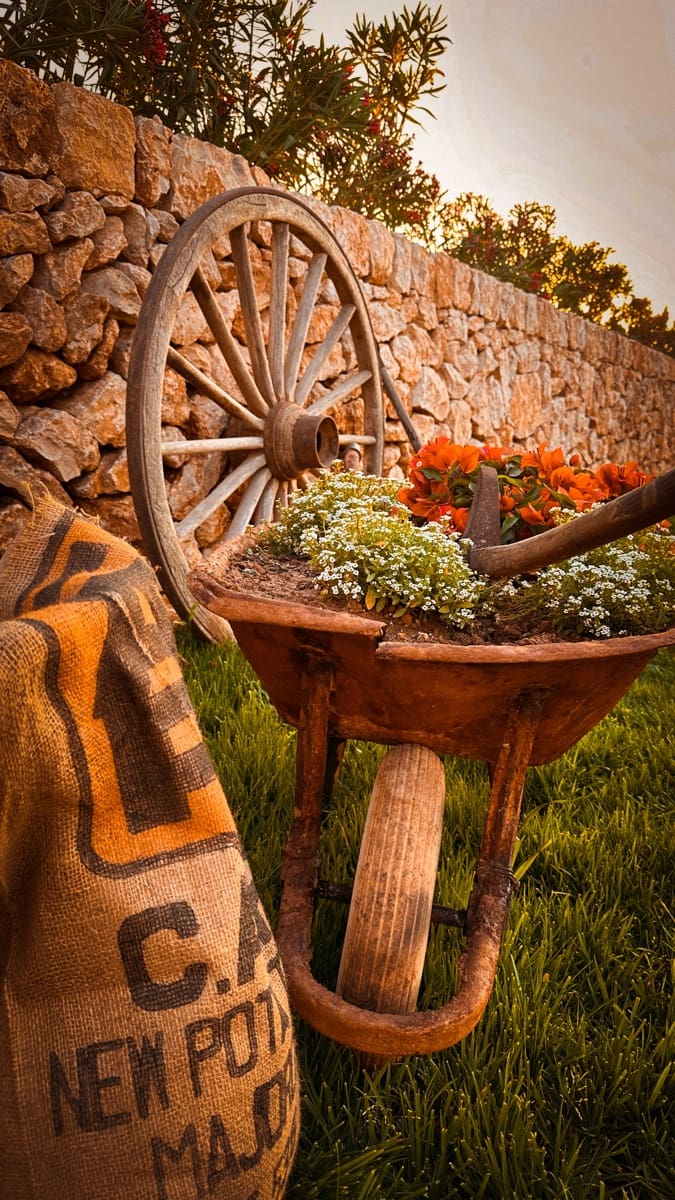 3 camera da letto Finca/Casa di Campagna in vendita in Ses Salines con piscina garage - 1.995.000 € (Rif: 8742732)