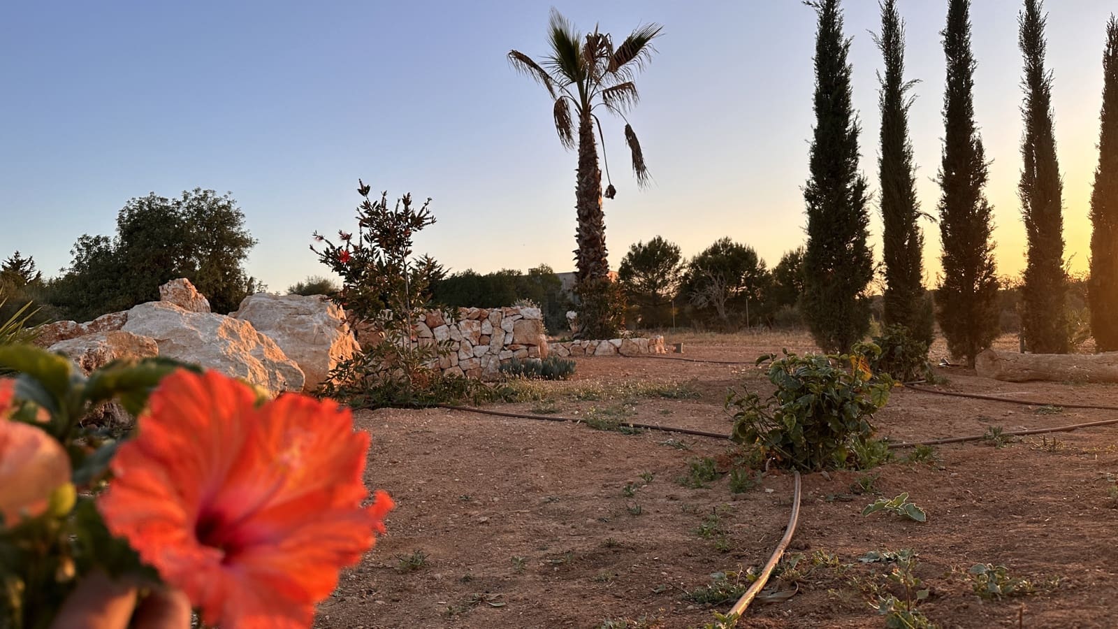 3 camera da letto Finca/Casa di Campagna in vendita in Ses Salines con piscina garage - 1.995.000 € (Rif: 8742732)