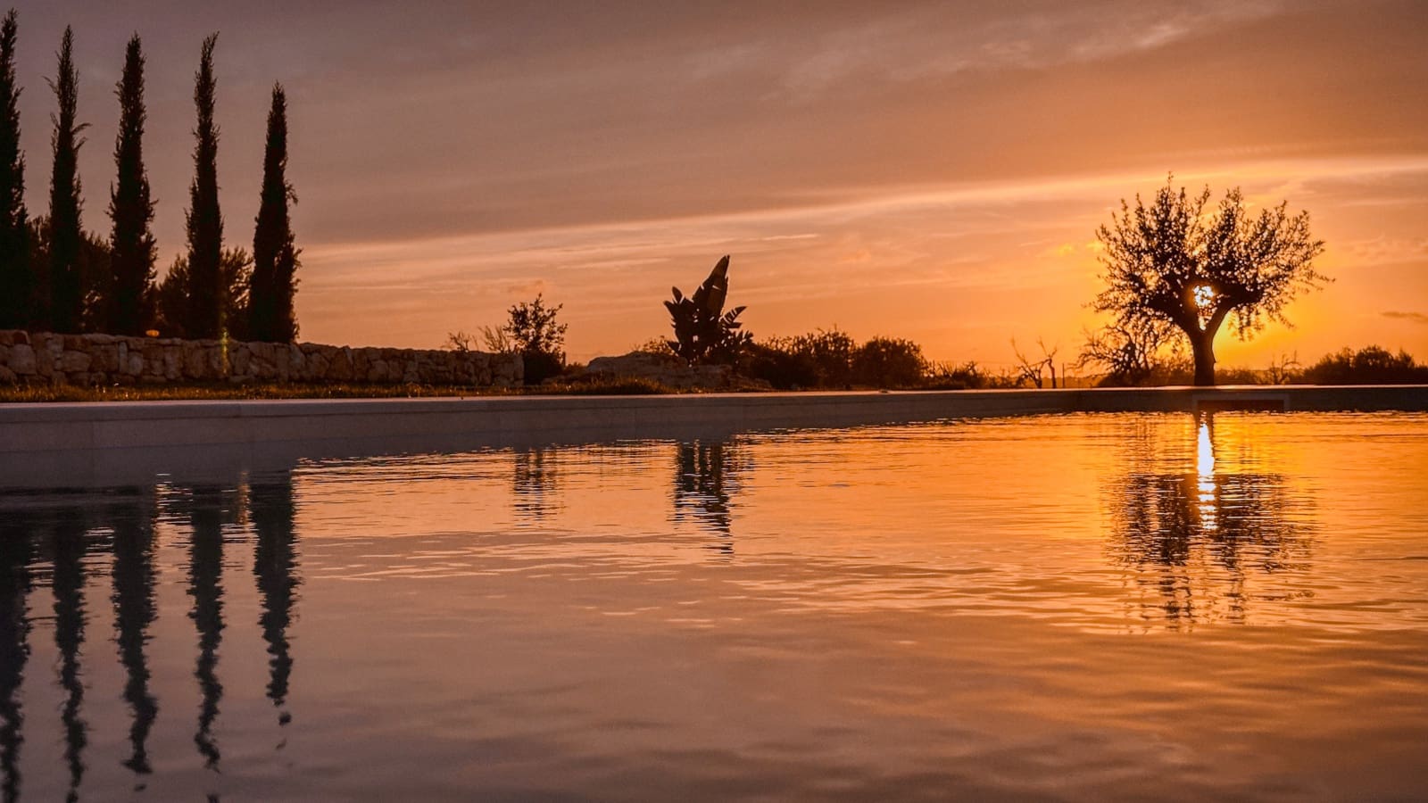 3 camera da letto Finca/Casa di Campagna in vendita in Ses Salines con piscina garage - 1.995.000 € (Rif: 8742732)