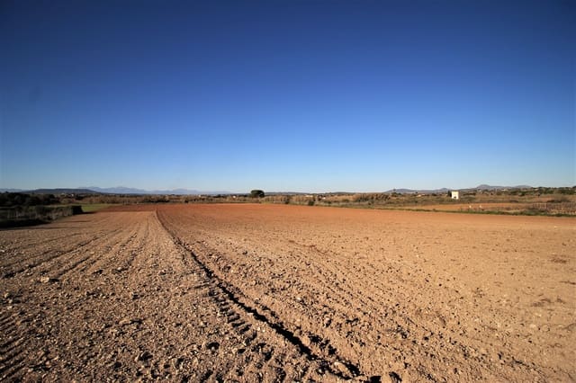 Undeveloped Land for sale in Manacor - € 180,000 (Ref: 8743557)