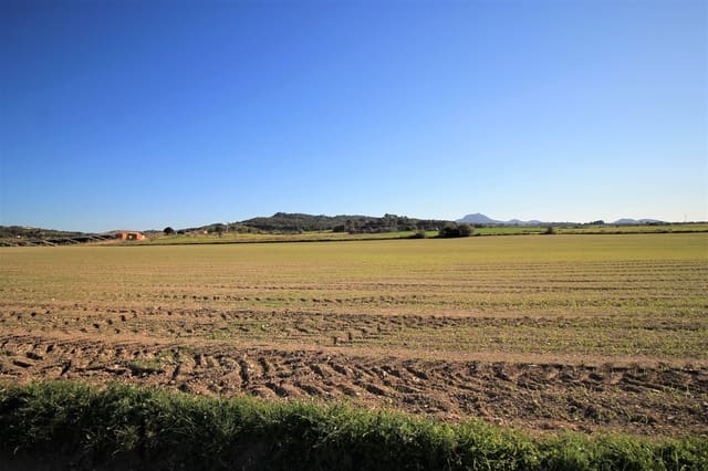 Undeveloped Land for sale in Manacor - € 180,000 (Ref: 8743557)