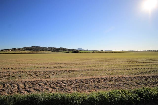 Undeveloped Land for sale in Manacor - € 180,000 (Ref: 8743557)
