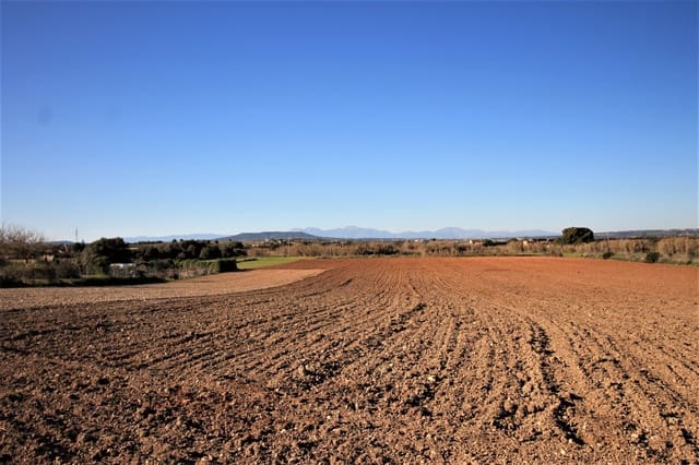 Undeveloped Land for sale in Manacor - € 180,000 (Ref: 8743557)