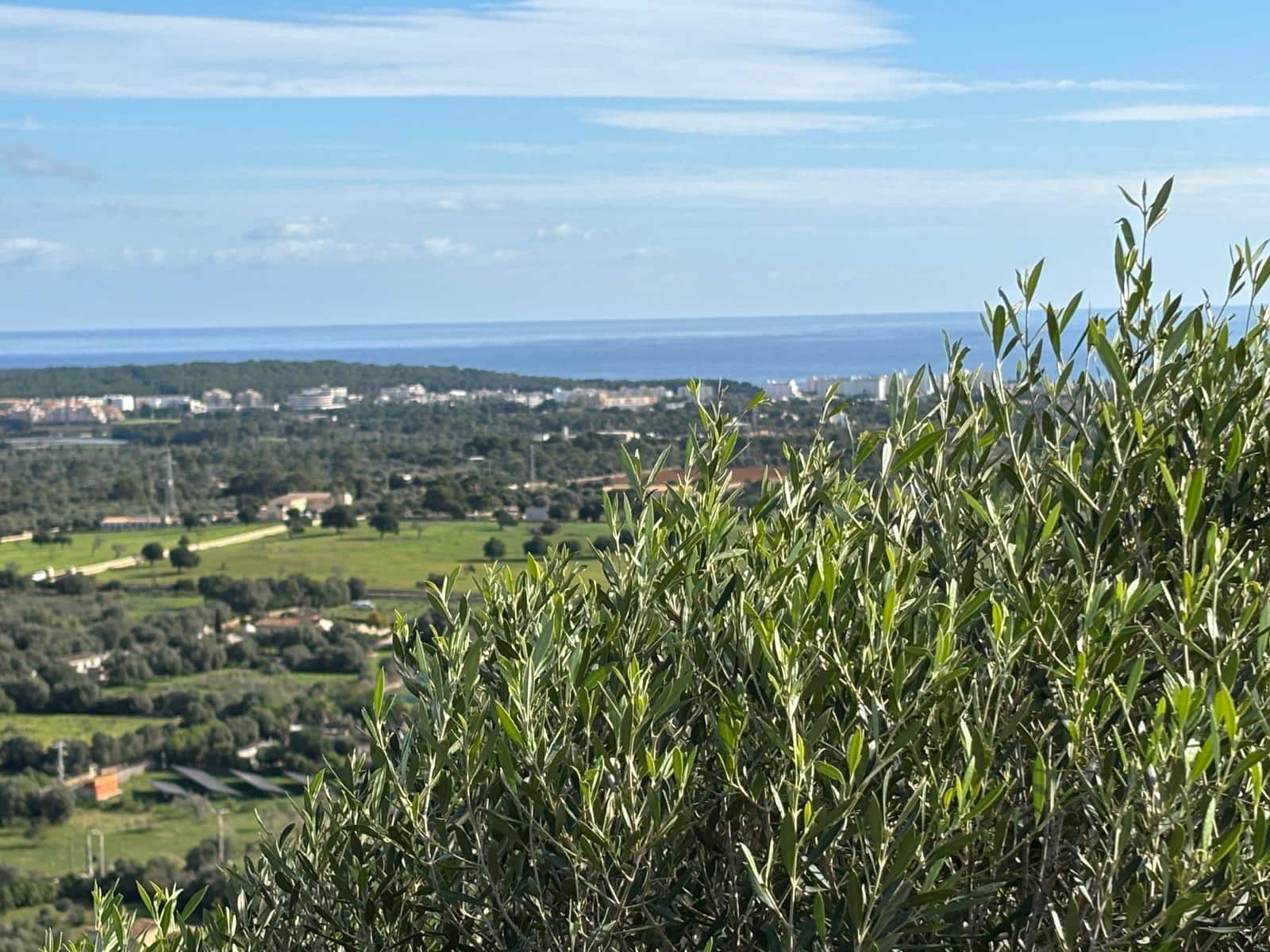 Undeveloped Land for sale in Son Carrio - € 1,300,000 (Ref: 8743558)