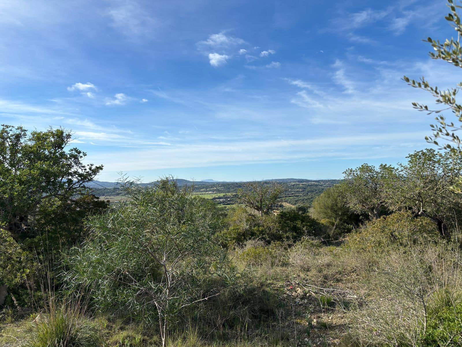 Undeveloped Land for sale in Son Carrio - € 1,300,000 (Ref: 8743558)