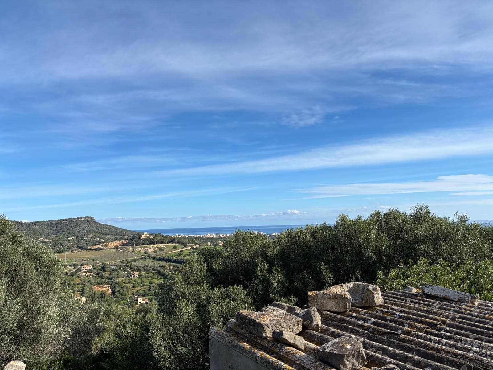 Undeveloped Land for sale in Son Carrio - € 1,300,000 (Ref: 8743558)