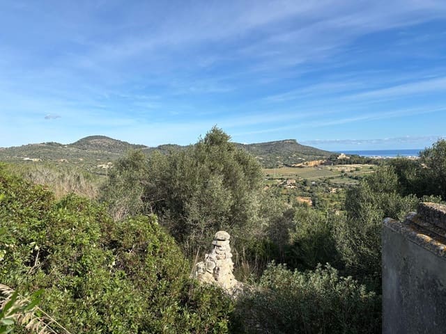 Mark till salu i Son Carrio, Sant Llorenç des Cardassar - 1 300 000 € (Ref: 8743558)