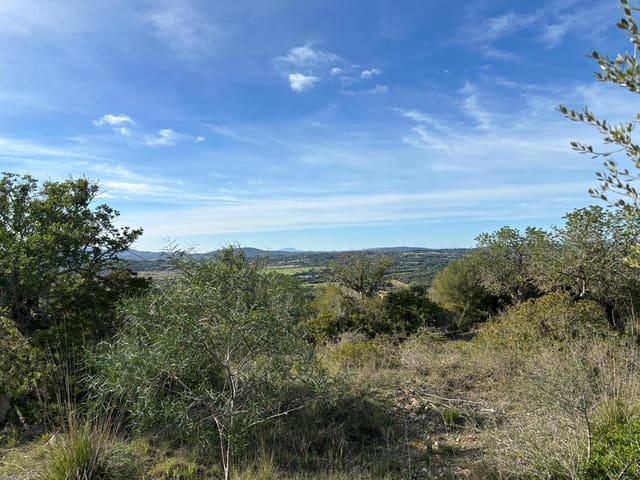 Mark till salu i Son Carrio, Sant Llorenç des Cardassar - 1 300 000 € (Ref: 8743558)