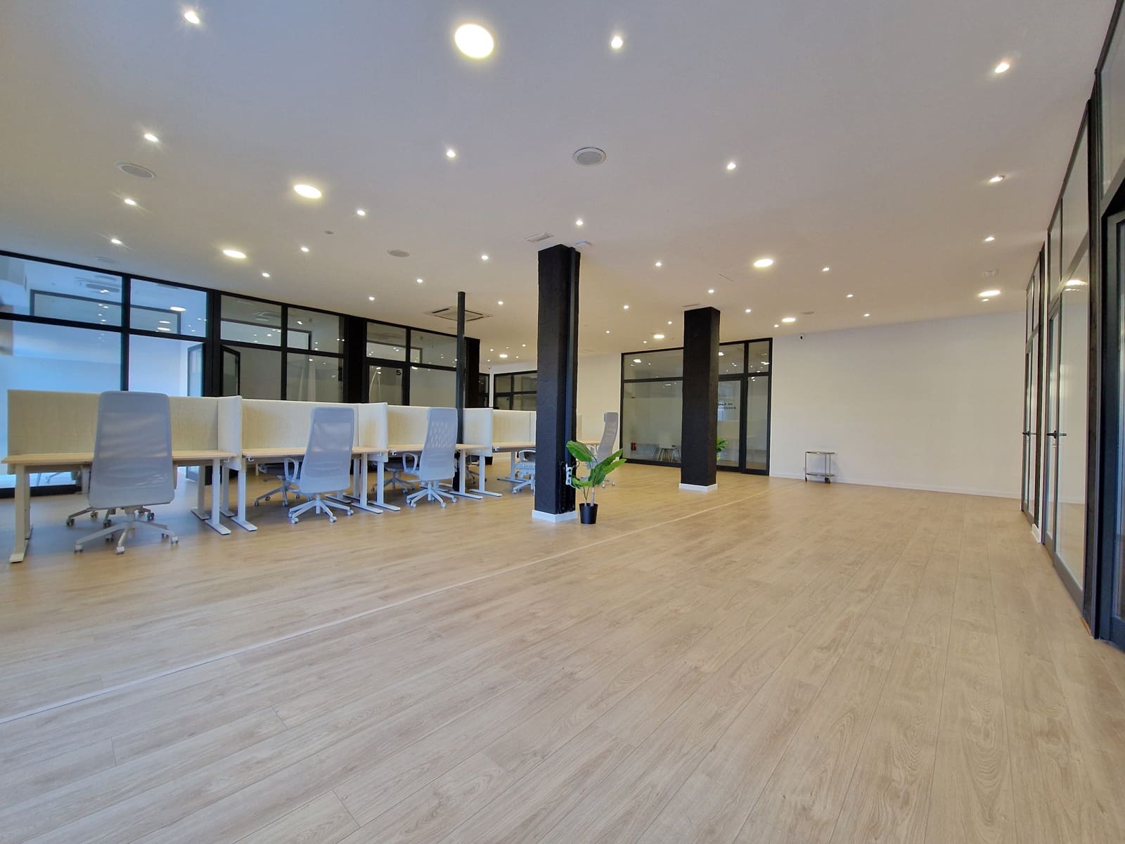 Komercyjne do wynajęcia w Palma de Mallorca - 330 € (Ref: 8800430)