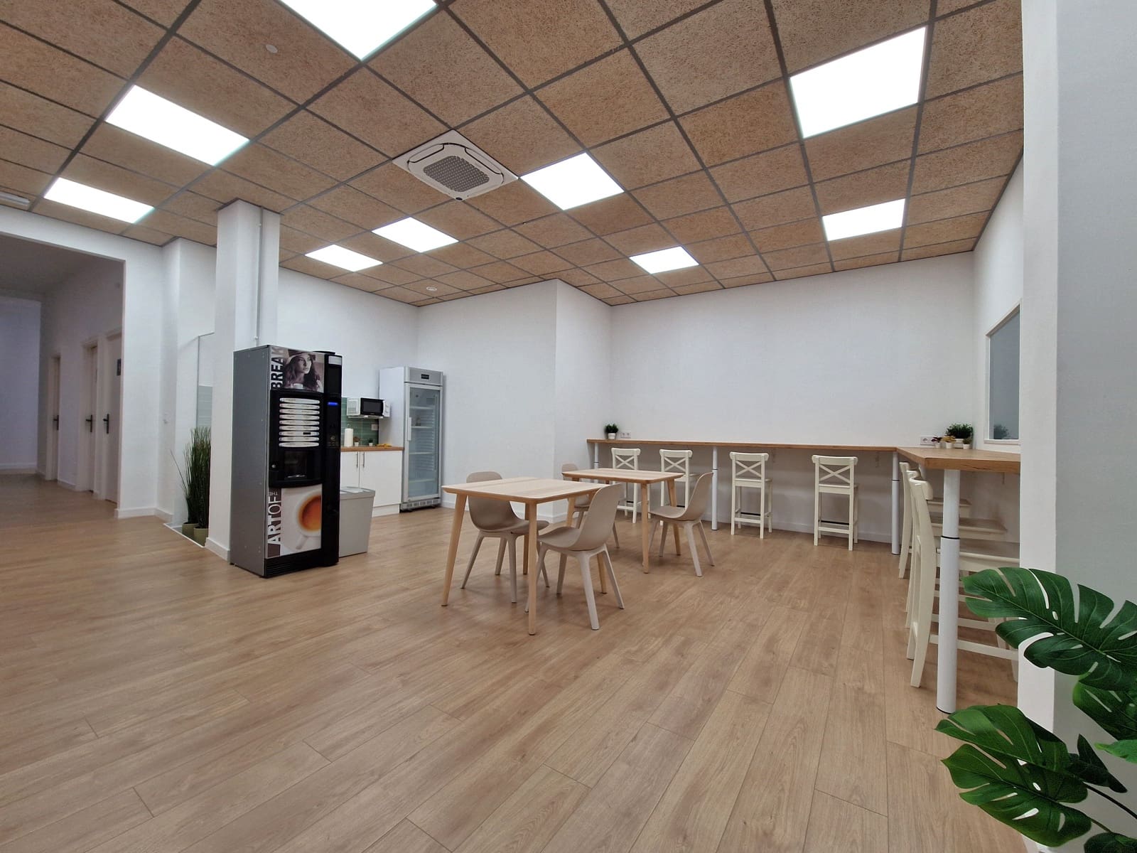 Komercyjne do wynajęcia w Palma de Mallorca - 330 € (Ref: 8800430)