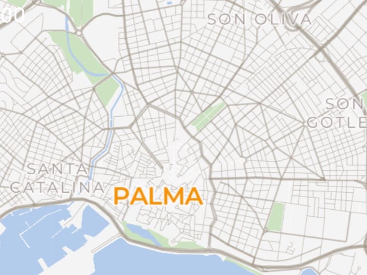 Erhverv til salg i Palma de Mallorca med garage - € 299.000 (Ref: 8815138)