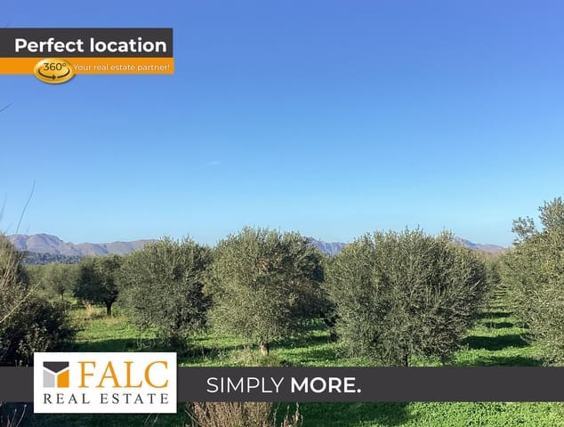 Grunde uden byggetilladelser til salg i Alcúdia - € 989.000 (Ref: 8830461)