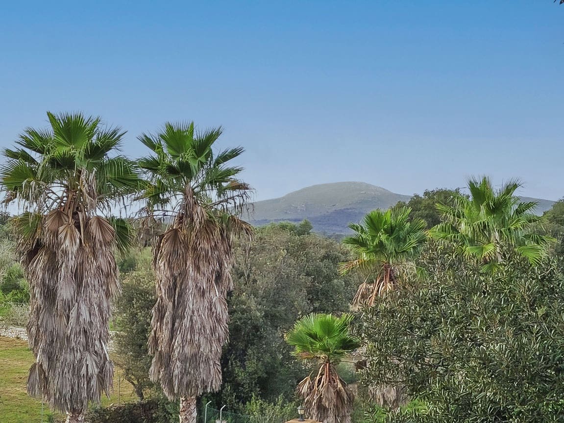 9 soverom Finca/Herregård til salgs i Arta med svømmebasseng garasje - € 2 999 000 (Ref: 8880876)