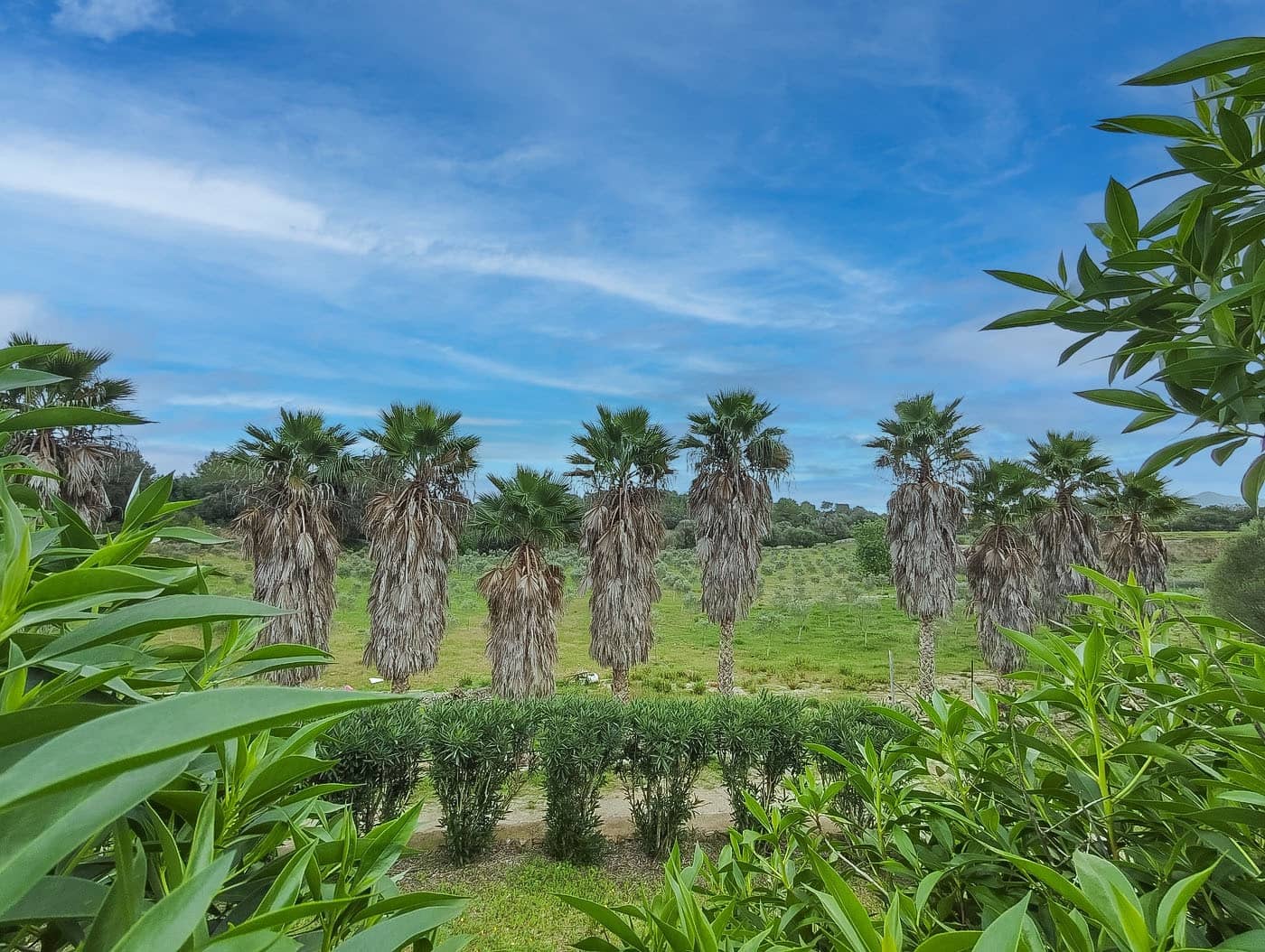 9 soverom Finca/Herregård til salgs i Arta med svømmebasseng garasje - € 2 999 000 (Ref: 8880876)