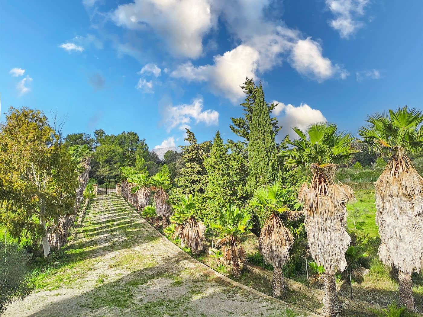 9 soverom Finca/Herregård til salgs i Arta med svømmebasseng garasje - € 2 999 000 (Ref: 8880876)