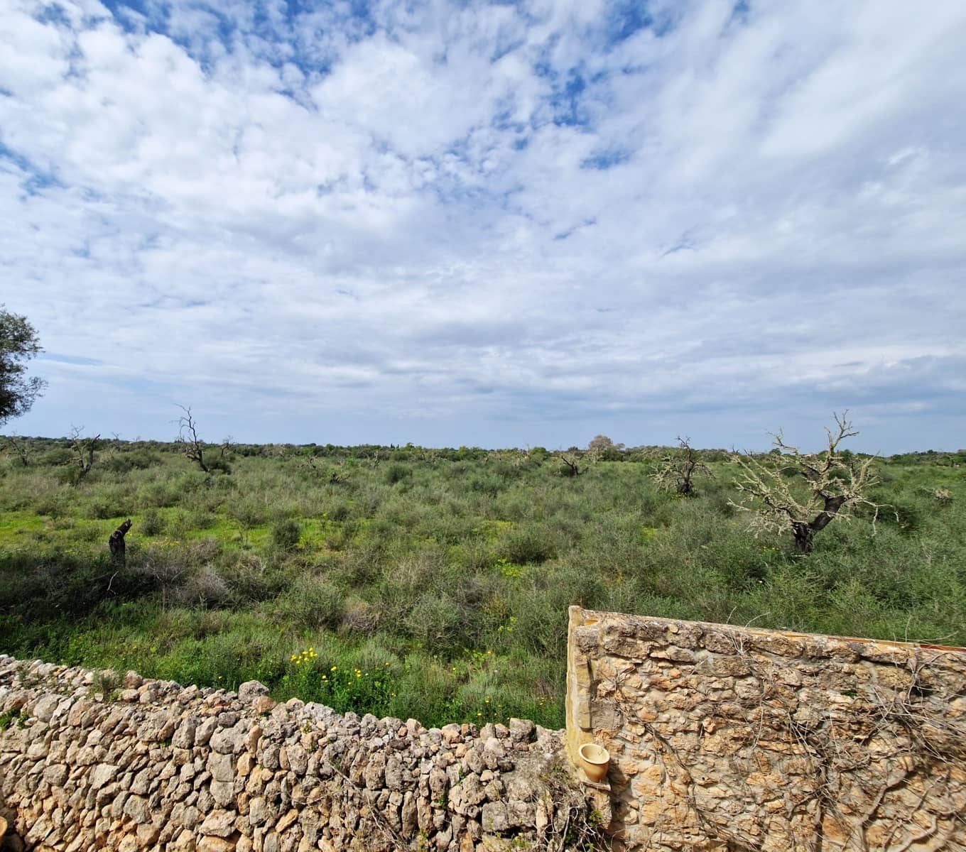 4 bedroom Finca/Country House for sale in Llucmajor with pool garage - € 1,295,000 (Ref: 8882327)