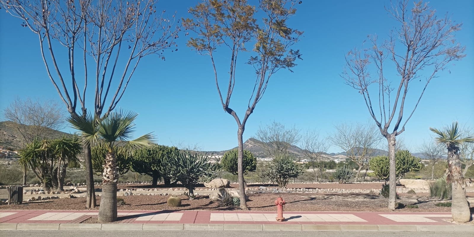 2 bedroom Villa for sale in Banos y Mendigo with pool garage - € 489,000 (Ref: 8914721)