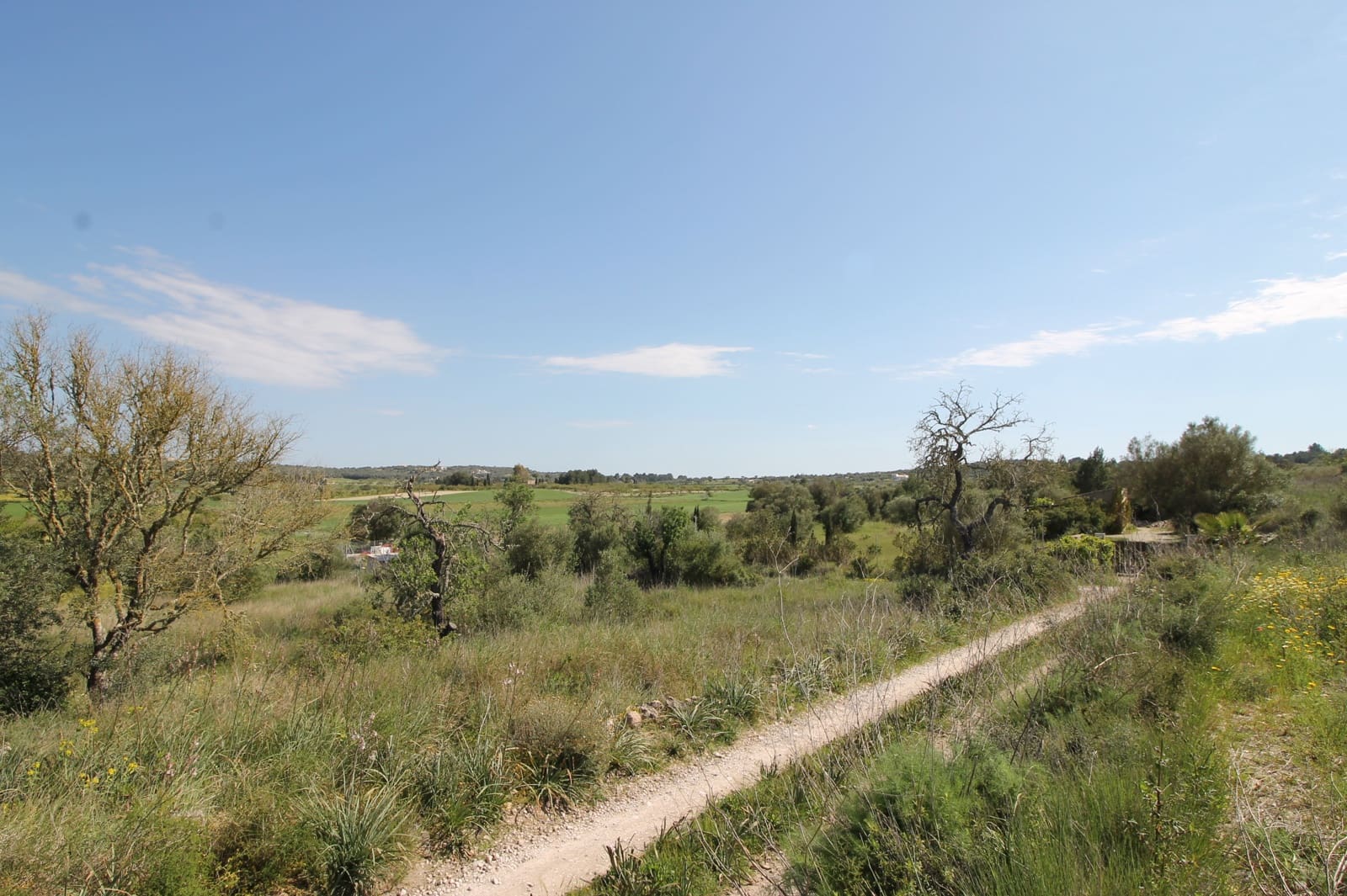 Mark till salu i Porreres - 725 000 € (Ref: 8933332)