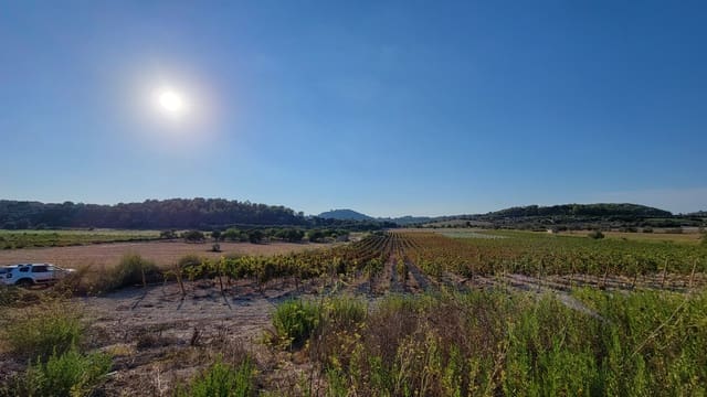 Mark till salu i Porreres - 725 000 € (Ref: 8933332)