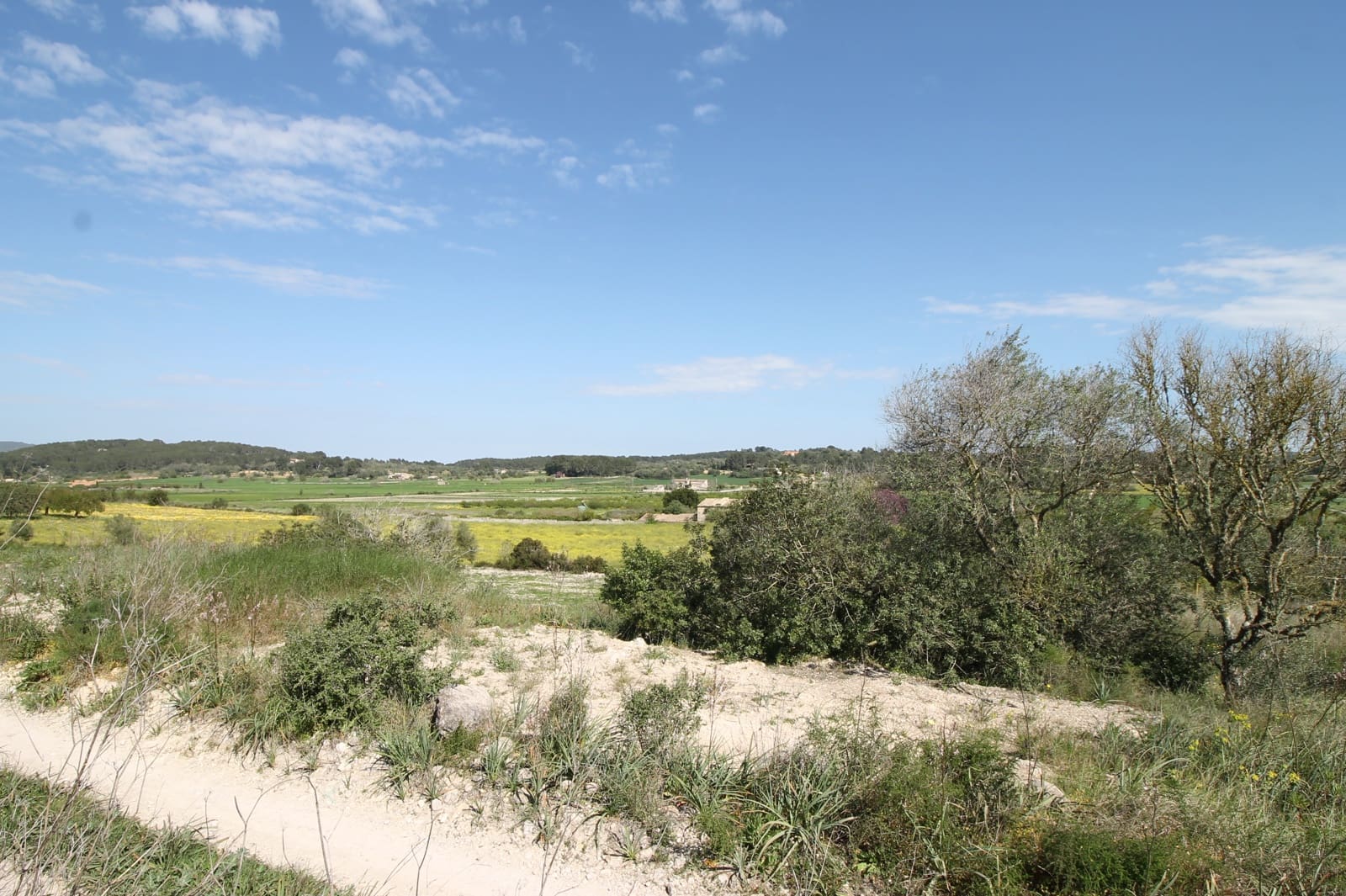 Mark till salu i Porreres - 725 000 € (Ref: 8933332)