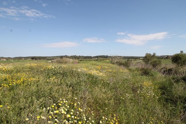 Mark till salu i Porreres - 725 000 € (Ref: 8933332)