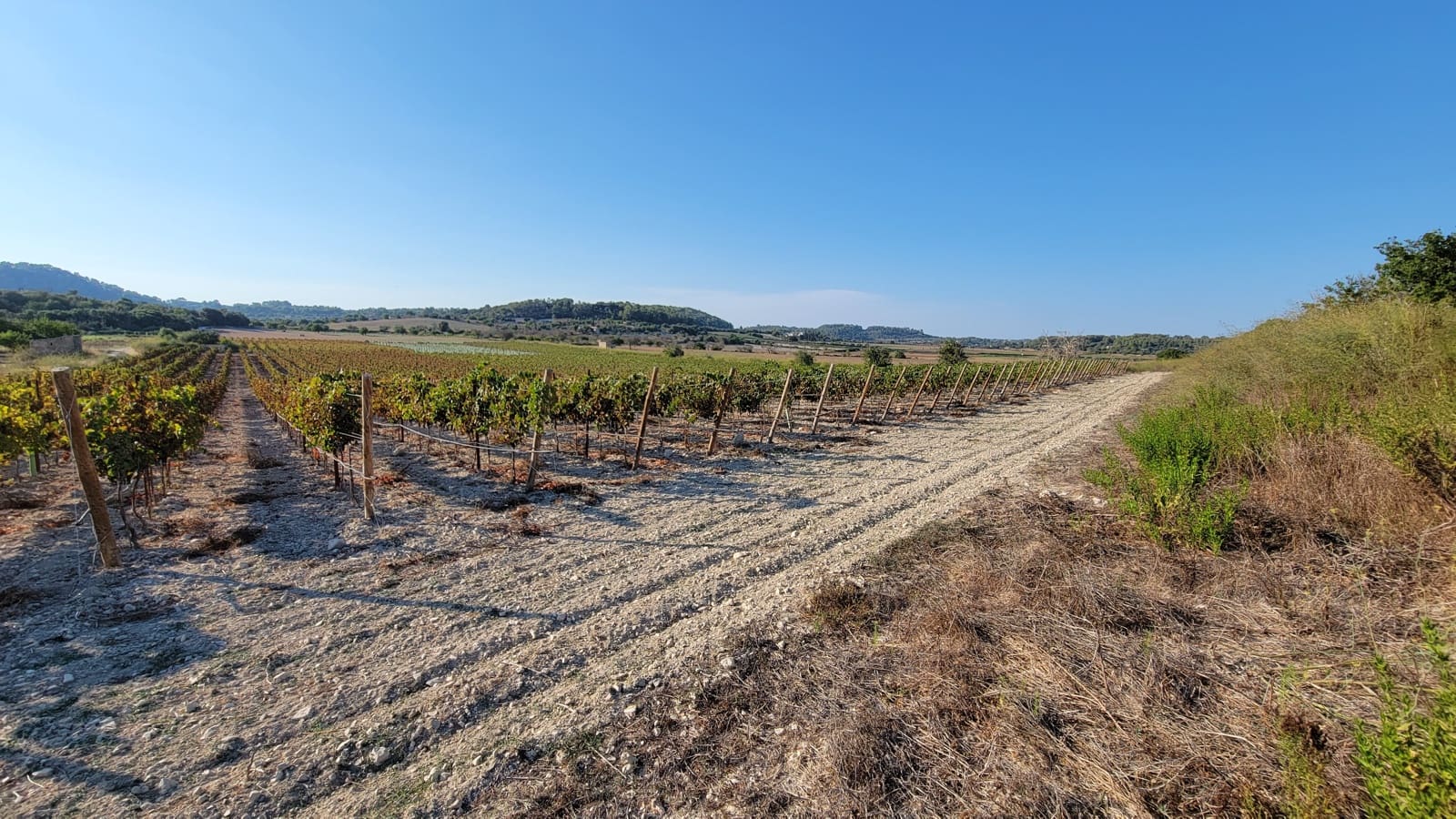 Mark till salu i Porreres - 725 000 € (Ref: 8933332)