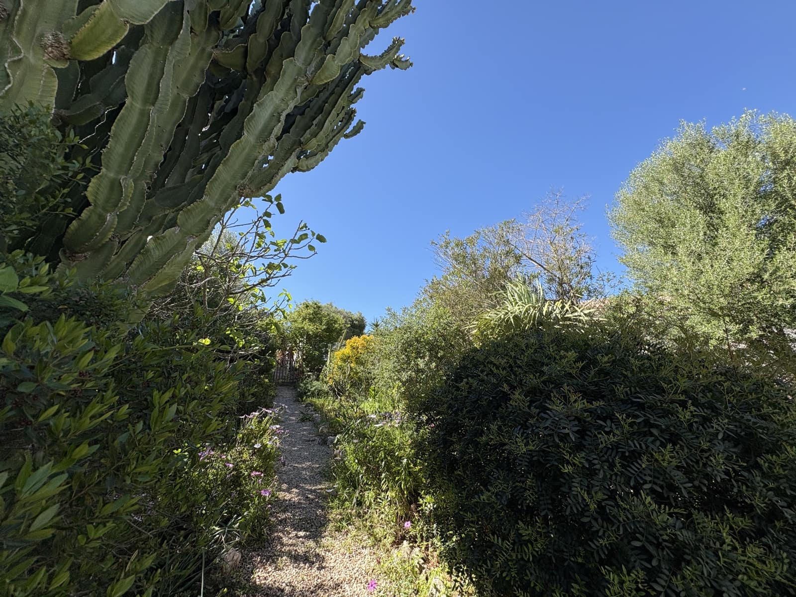 2 soverom Villa til salgs i Manacor - € 313 000 (Ref: 8940158)