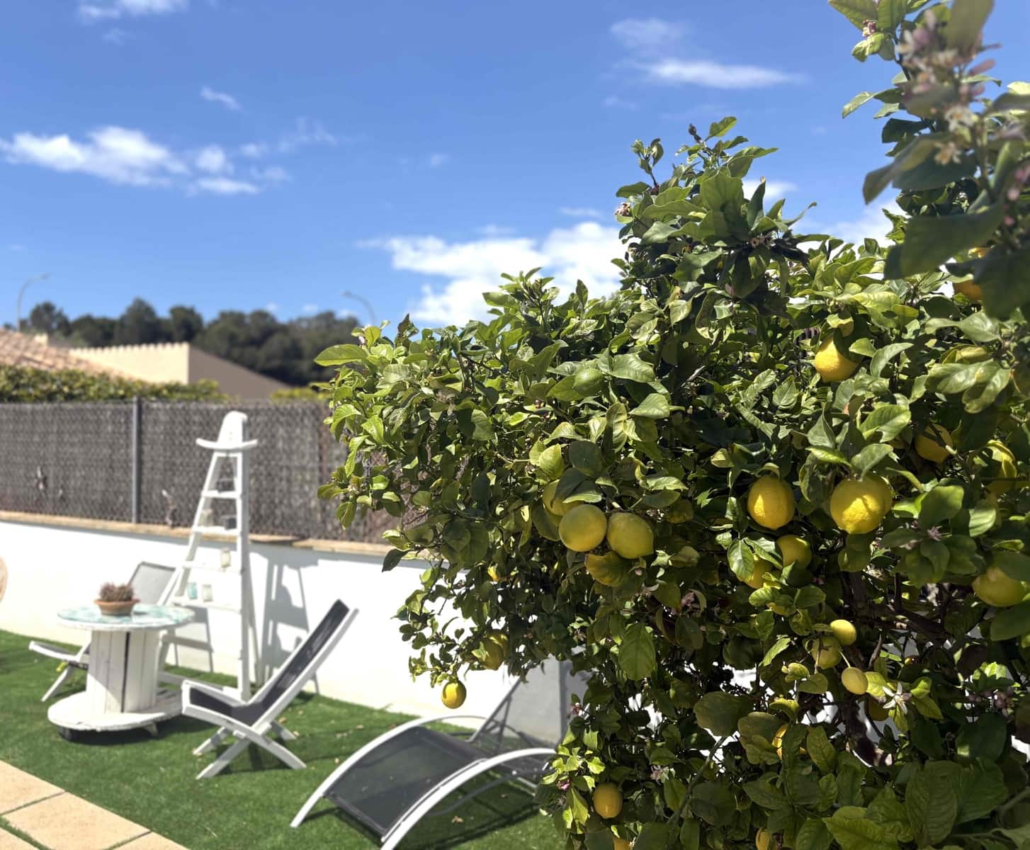 5 makuuhuone Huvila vuokrattavana paikassa Palma de Mallorca mukana uima-altaan 
autotalli - 4 800 € (Ref: 8948172)