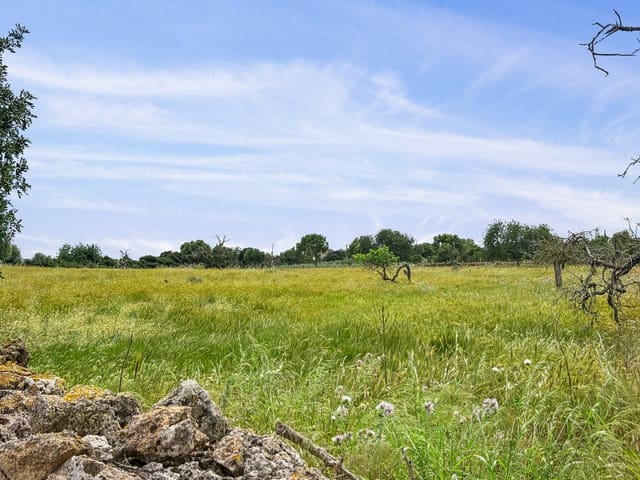 Undeveloped Land for sale in Portocristo / Port de Manacor, Manacor - € 480,000 (Ref: 8986410)