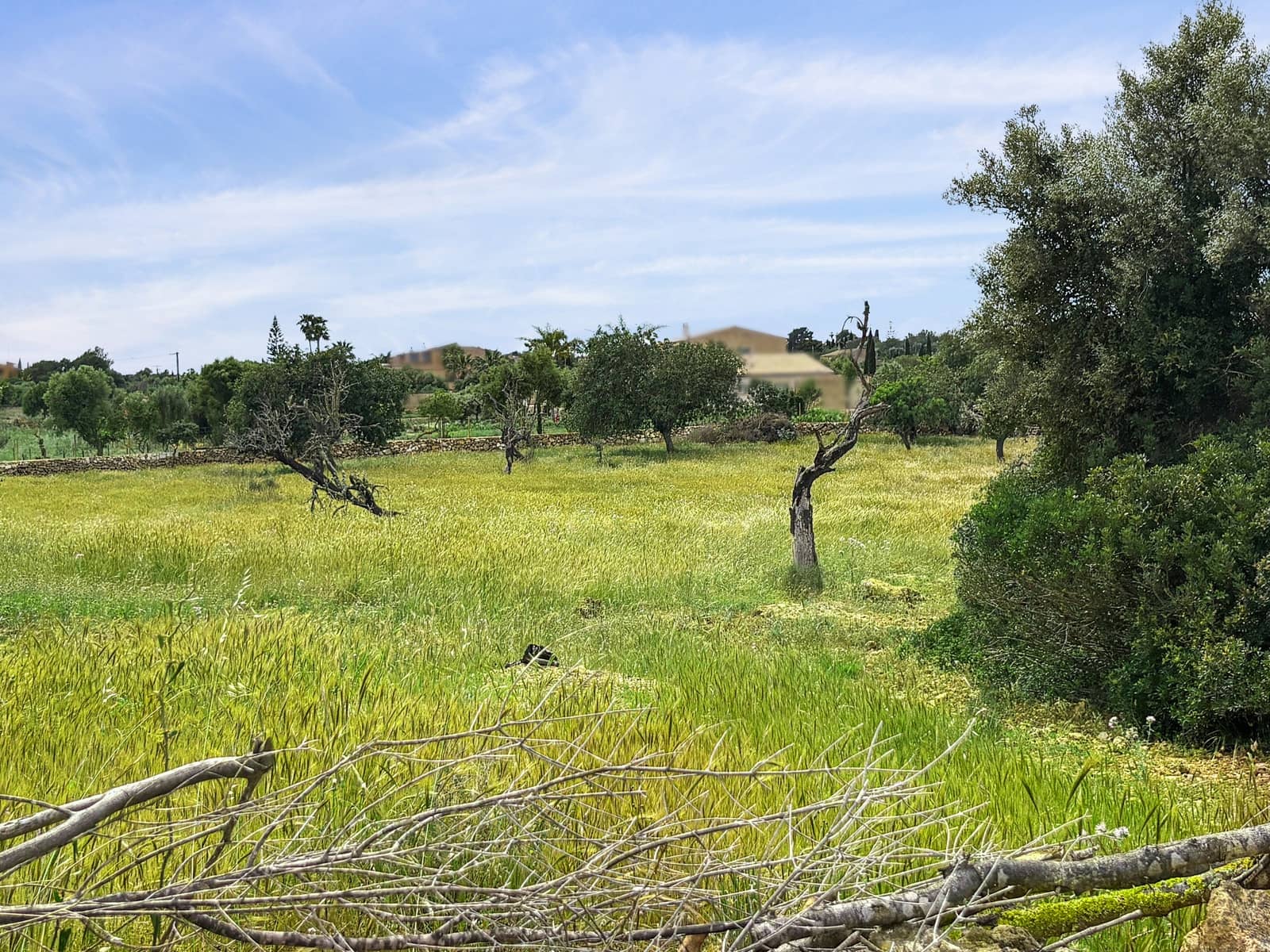 Grunde uden byggetilladelser til salg i Portocristo / Port de Manacor - € 480.000 (Ref: 8986410)