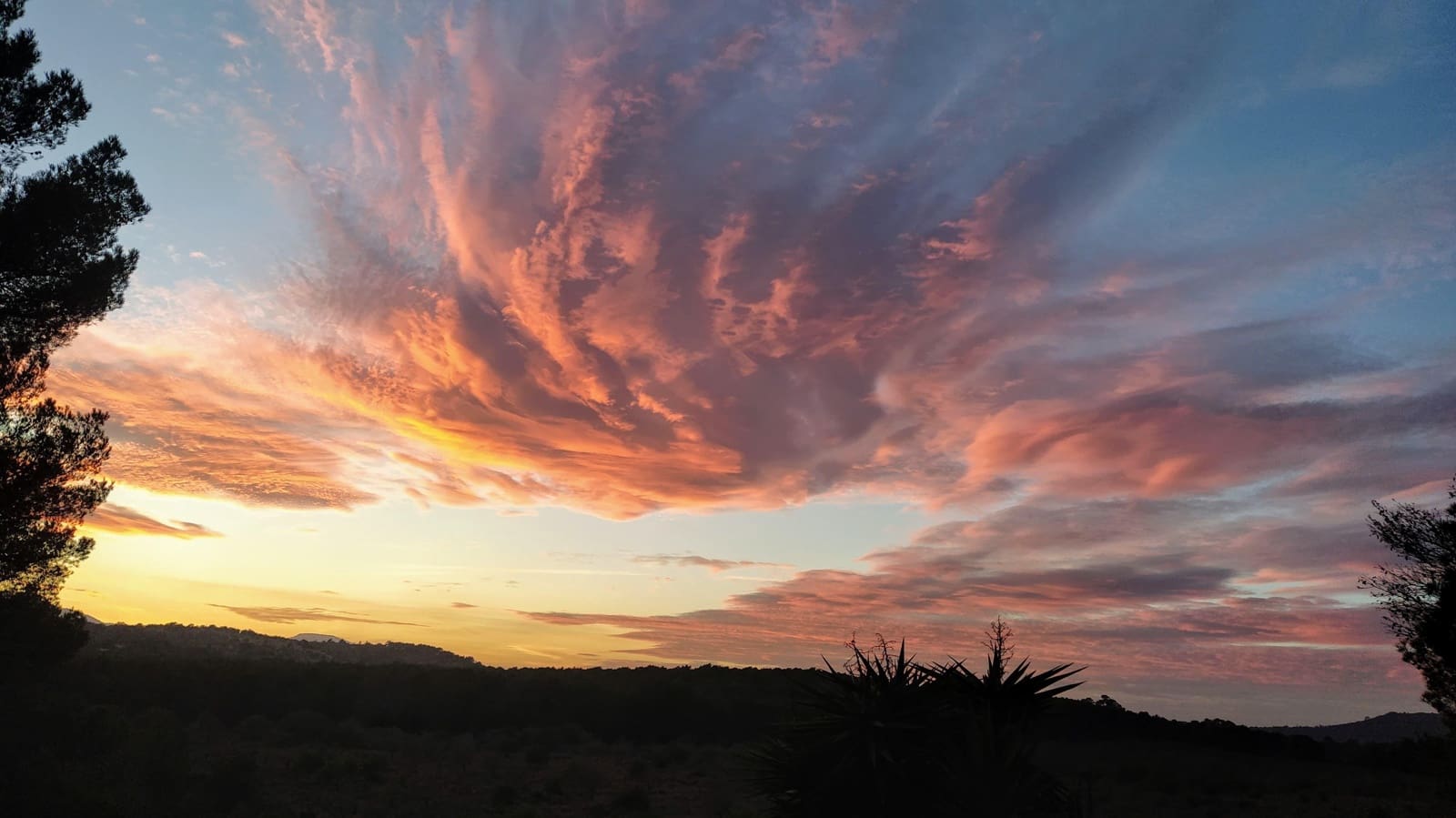3 bedroom Finca/Country House for sale in Portocristo / Port de Manacor with pool garage - € 1,795,000 (Ref: 9012468)