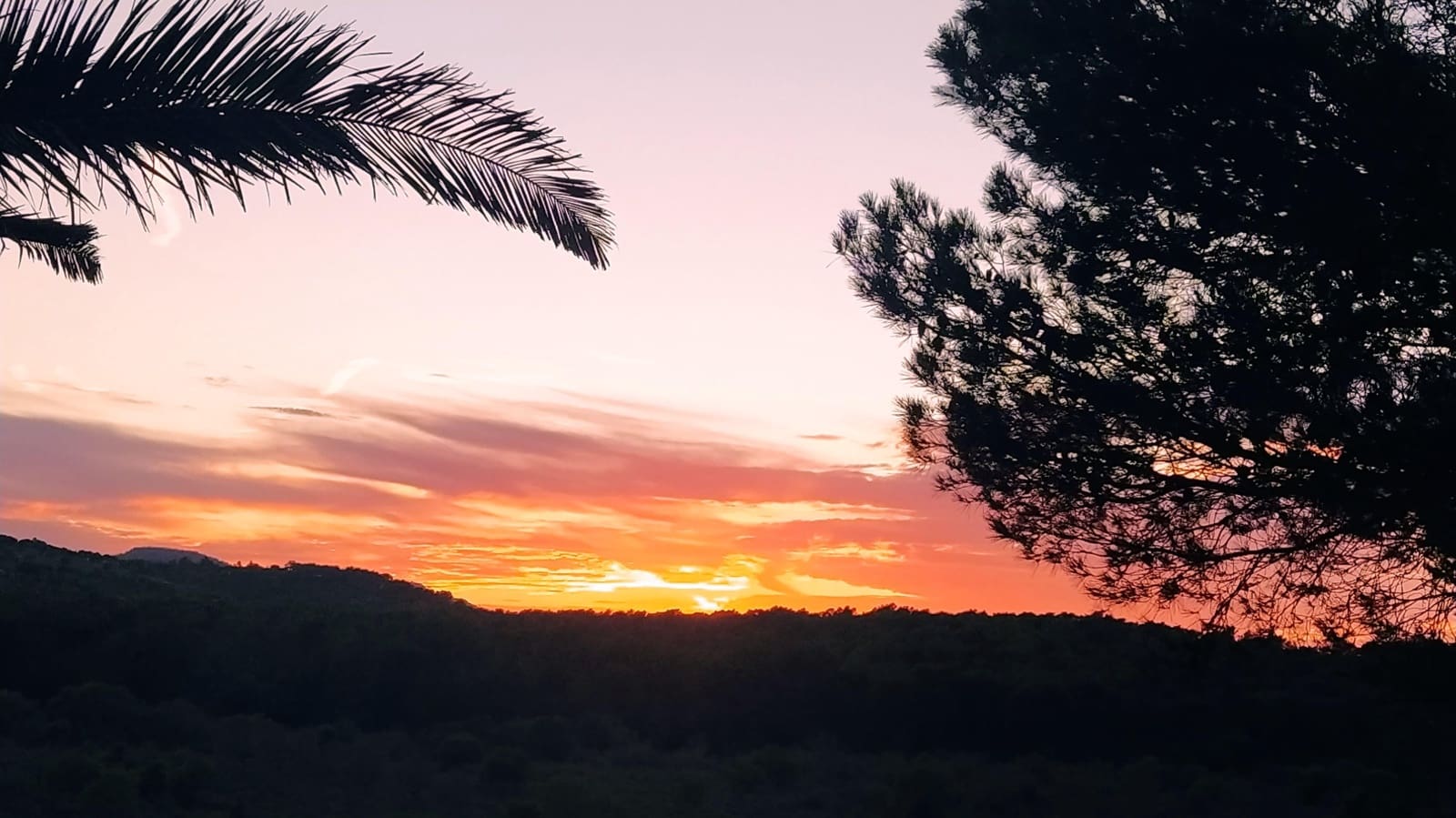 3 bedroom Finca/Country House for sale in Portocristo / Port de Manacor with pool garage - € 1,795,000 (Ref: 9012468)