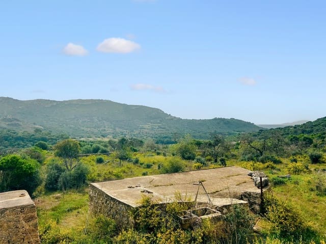 Mark till salu i Sant Llorenç des Cardassar - 360 000 € (Ref: 9014644)