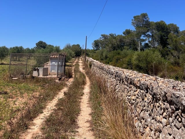 Undeveloped Land for sale in Manacor - € 220,000 (Ref: 9046509)