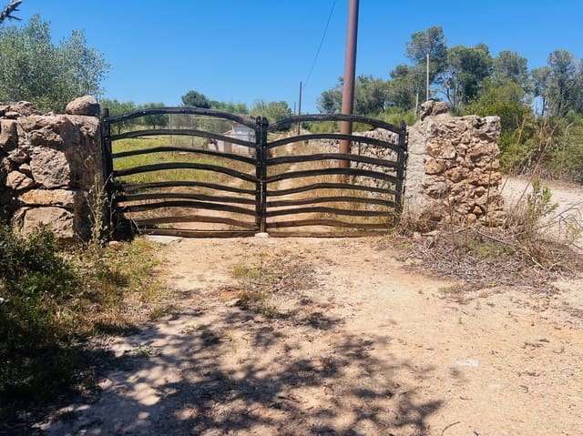 Undeveloped Land for sale in Manacor - € 220,000 (Ref: 9046509)