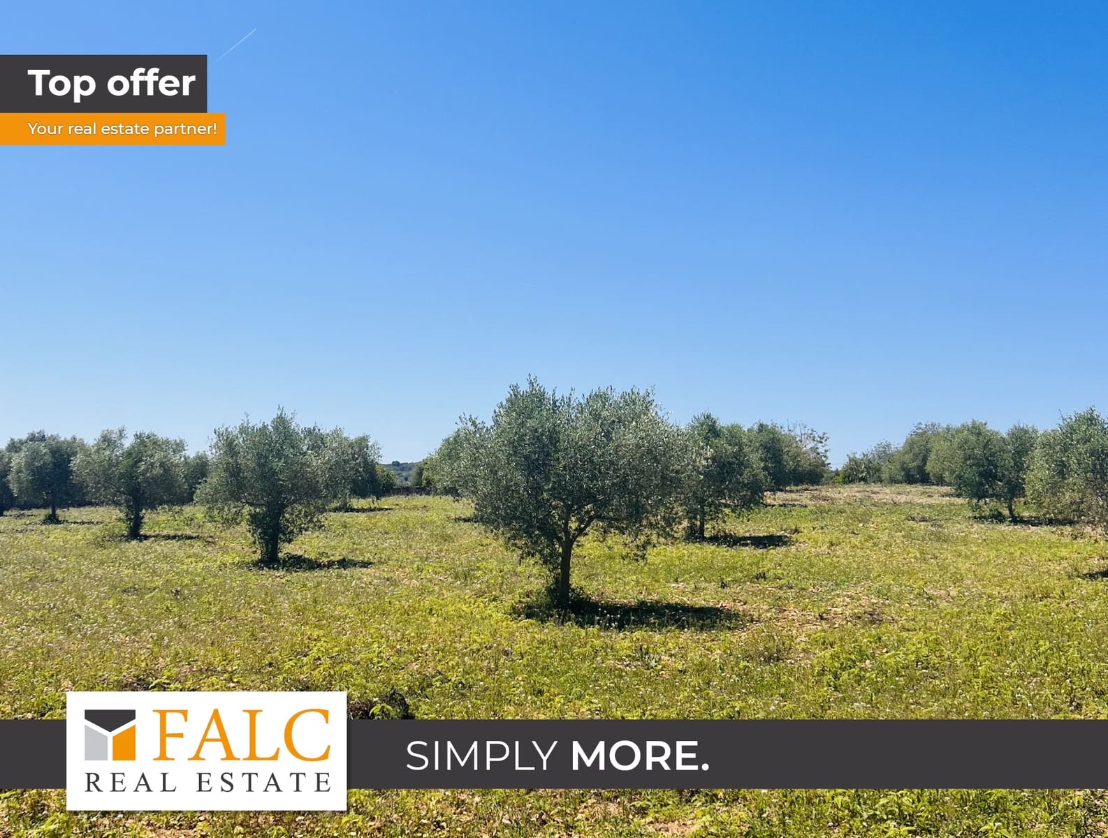 Ubebygd land til salgs i Manacor - € 220 000 (Ref: 9046509)
