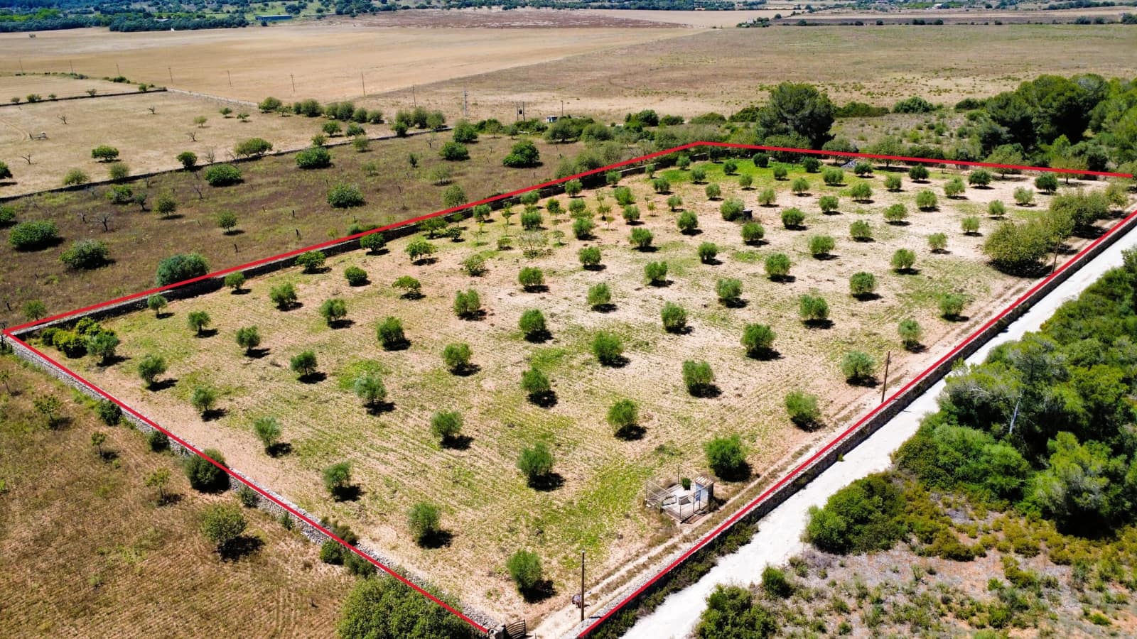 Ubebygd land til salgs i Manacor - € 220 000 (Ref: 9046509)