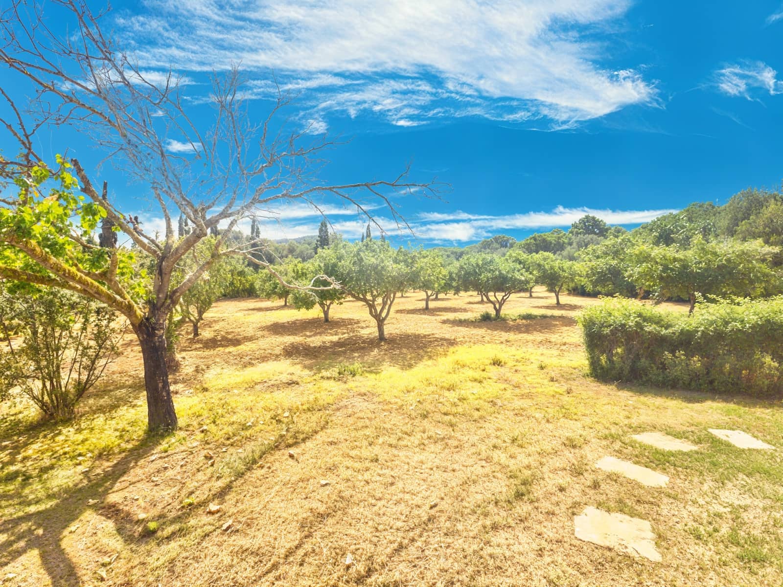 3 chambre Finca/Maison de Campagne à vendre à Son Servera avec garage - 789 000 € (Ref: 9143719)