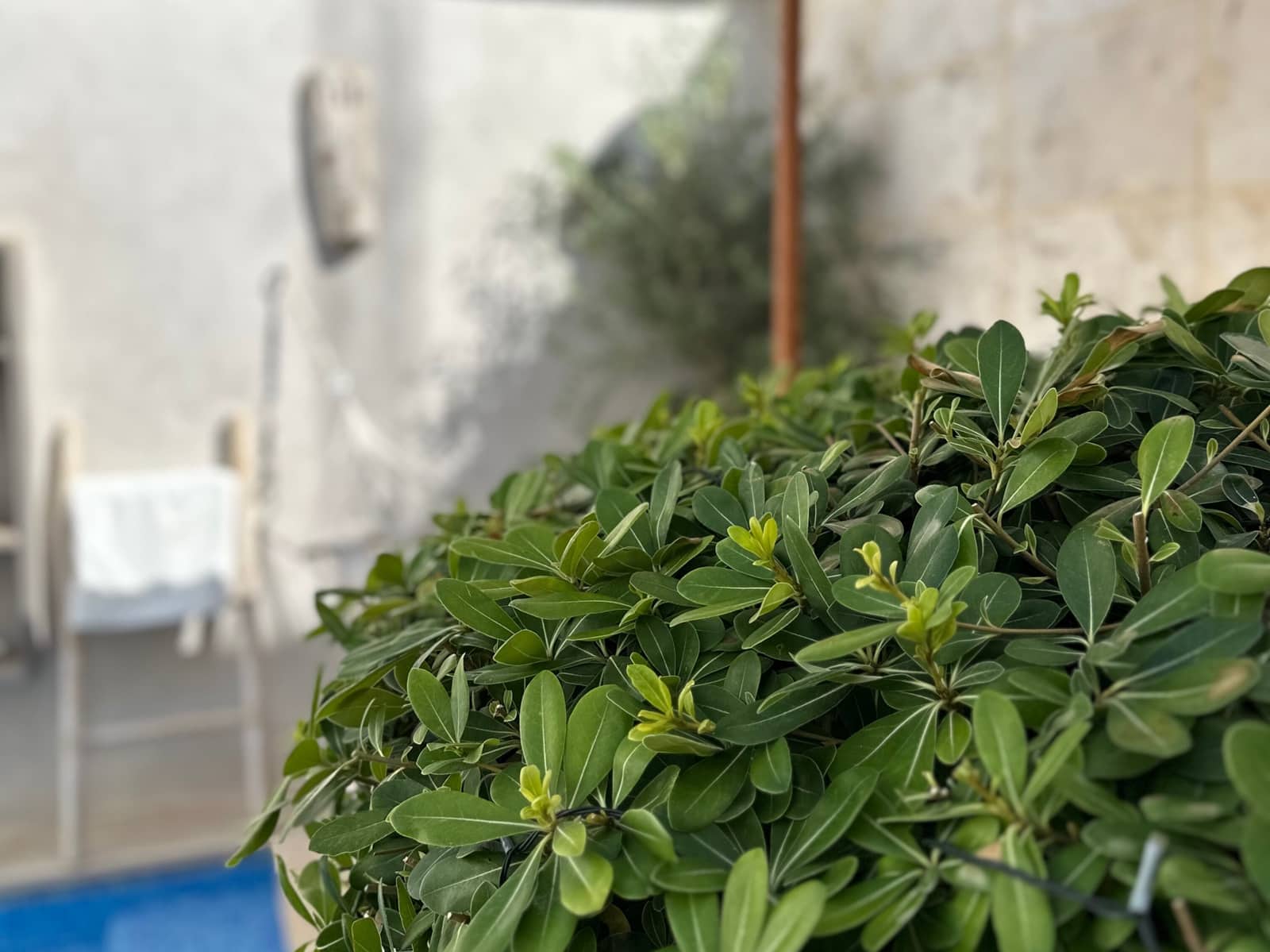 3 soverom Hus til salgs i Ses Salines med svømmebasseng garasje - € 1 790 000 (Ref: 9147978)